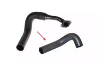 Bugiad 88566 Патрубок інтеркулера Bugiad 88566 Патрубок інтеркулера