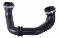 Bugiad 88761 Патрубок інтеркулера