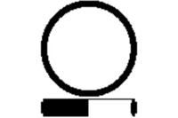 Payen JD530 Gasket graphite Payen JD530 Gasket graphite