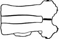 Payen JM5121 Прокладка кришки клапанів Payen JM5121 Прокладка кришки клапанів