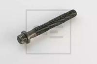 PE Automotive 030.069-00A Болт головки блоку циліндрів