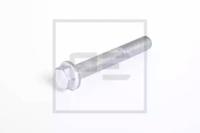 PE Automotive 030.153-00A Screw
