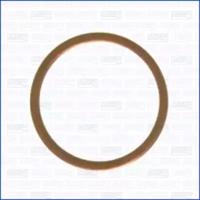 Ajusa 21019500 Pignon