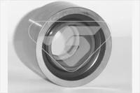 Hutchinson HEG 268 Ролик обводной ремня грм