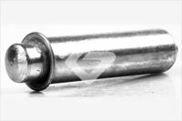 Hutchinson HTG 421 Tensioner assy belt