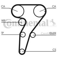 Contitech CT947 Ремінь ГРМ
