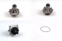 Hepu P031 Water pump