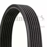 Contitech 7DPK2569 Belt v