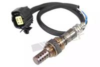 Walker Products 250-24366 Oxygen sensor