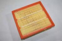 Automega 180022110 Фільтр повітряний