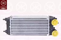 Klokkerholm 2565304450 Інтеркулер