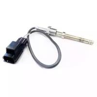 Wilmink Group WG1268370 Temperature sensor
