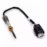 Wilmink Group WG1268382 Temperature sensor