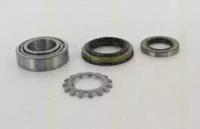Triscan 853043249 Wheel bearing