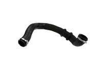 Bugiad 81670 Патрубок інтеркулера