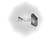 Bugiad 87614 Патрубок інтеркулера