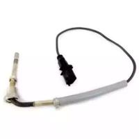 Wilmink Group WG1407227 Temperature sensor