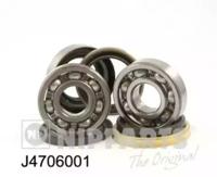 Nipparts J4706001 Wheel bearing