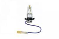 Sct Germany 202020 Лампа розжарювання