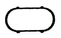 Wilmink Group WG1181812 Gasket graphite