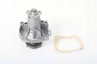 Triscan 860070307 Water pump