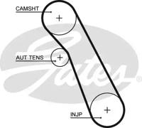 Gates 5541XS Belt timing