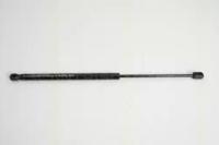 Triscan 871010206 Пружина газова Triscan 871010206 Пружина газова