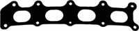 Glaser X81109-01 Прокладка колектора