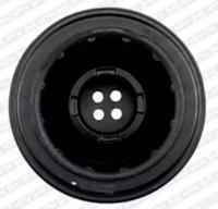 SNR DPF350.06 Шкив коленвала SNR DPF350.06 Шкив коленвала