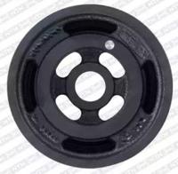 SNR DPF352.07 Шкив коленвала