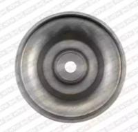 SNR DPF355.03 Шкив коленвала