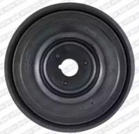 SNR DPF355.25 Шків колінвала