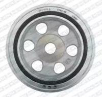 SNR DPF358.04 Шкив коленвала