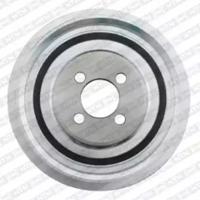 SNR DPF358.13 Шкив коленвала