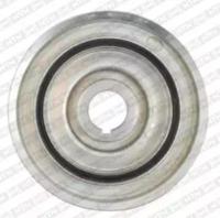 SNR DPF359.17 Шків колінвала