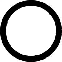 Victor Reinz 71-11858-00 Gasket graphite