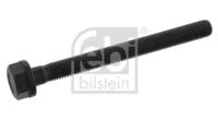 Febi 02224 Screw