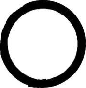 Victor Reinz 71-52983-00 Прокладка труби вихлопного газу Victor Reinz 71-52983-00 Прокладка труби вихлопного газу