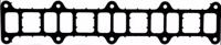 Victor Reinz 71-53741-00 Gasket graphite