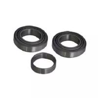 Asam 55185 Wheel bearing