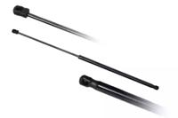 Asam 56285 Газова пружина капота Asam 56285 Газова пружина капота