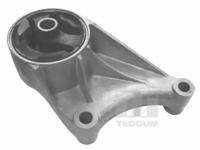 Tedgum 00508027 Mounting-bracket