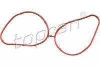 Topran 208 173 Gasket graphite