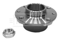 Borg & Beck BWK291 Wheel bearing