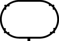 Elring 655.830 Прокладка впускного колектора