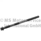 BF 20080228769 Болт головки блоку циліндрів