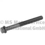 BF 20080342211 Болт головки блоку циліндрів