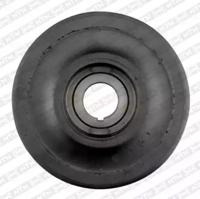 SNR DPF353.01 Шкив коленвала