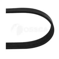 Ossca 10391 Belt v