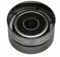 Triscan 864613204 Ролик обводной ремня грм